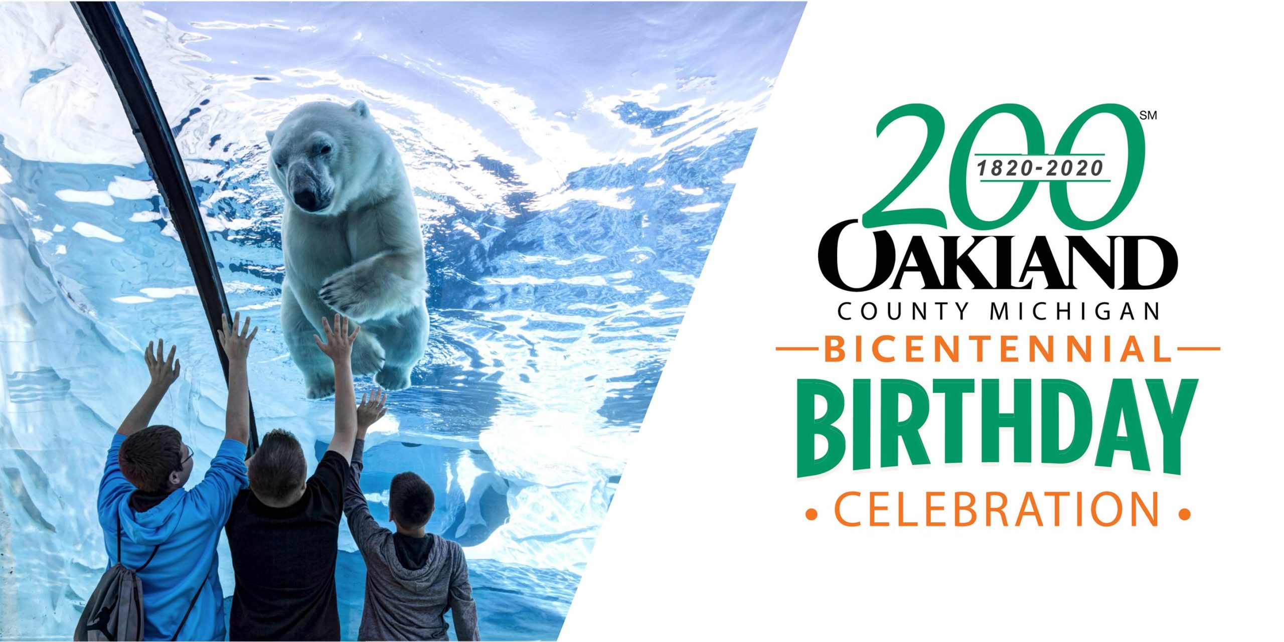 Birthday Banner